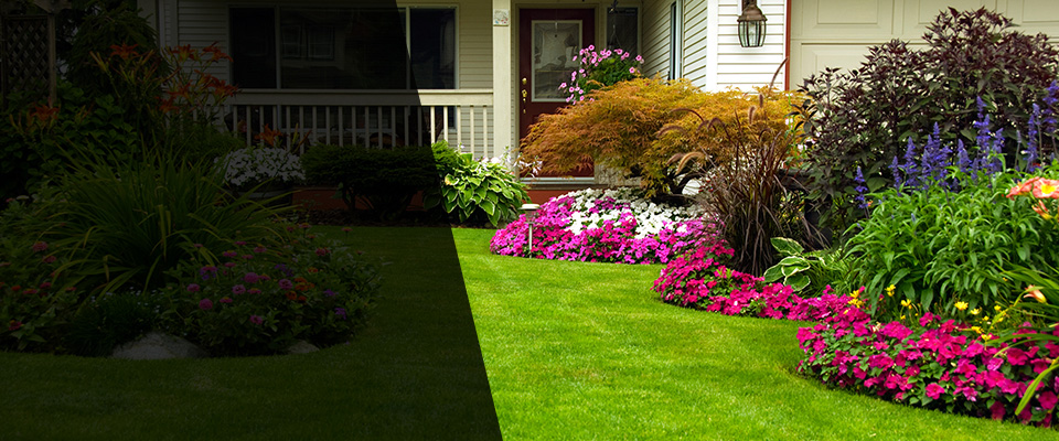 Park Forest Landscapers