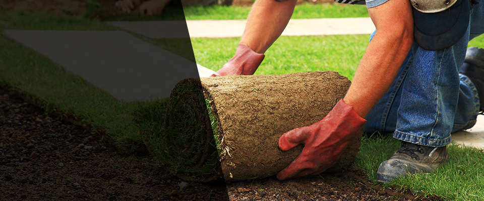 Park Forest Landscapers